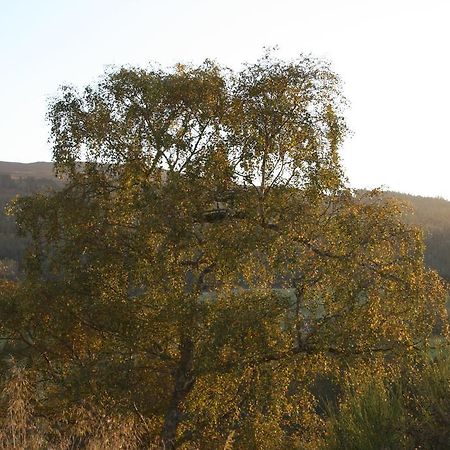 Bcc Loch Ness Hostel Bearnock Εξωτερικό φωτογραφία